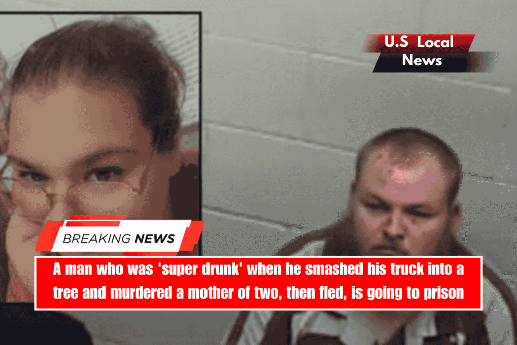 A man who was 'super drunk' when he smashed his truck into a tree and murdered a mother of two, then fled, is going to prison