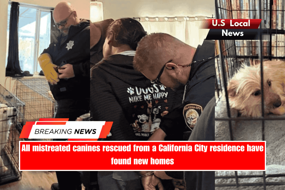 All mistreated canines rescued from a California City residence have found new homes