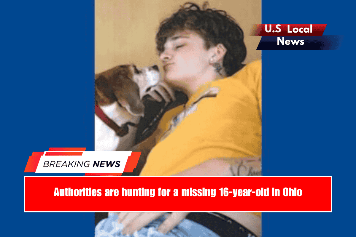 Authorities are hunting for a missing 16-year-old in Ohio