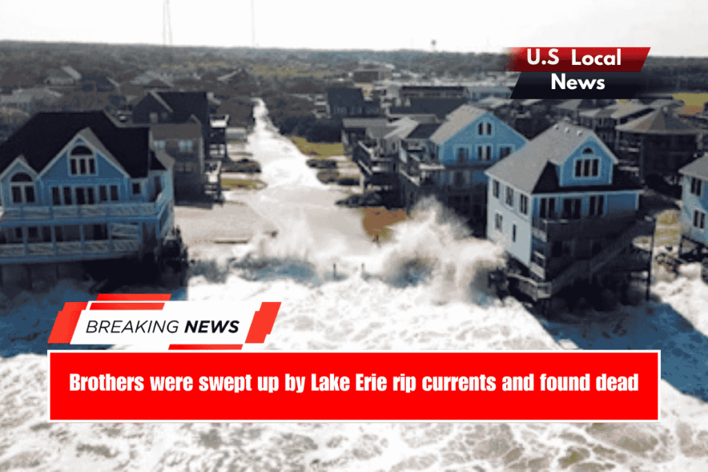 Brothers were swept up by Lake Erie rip currents and found dead