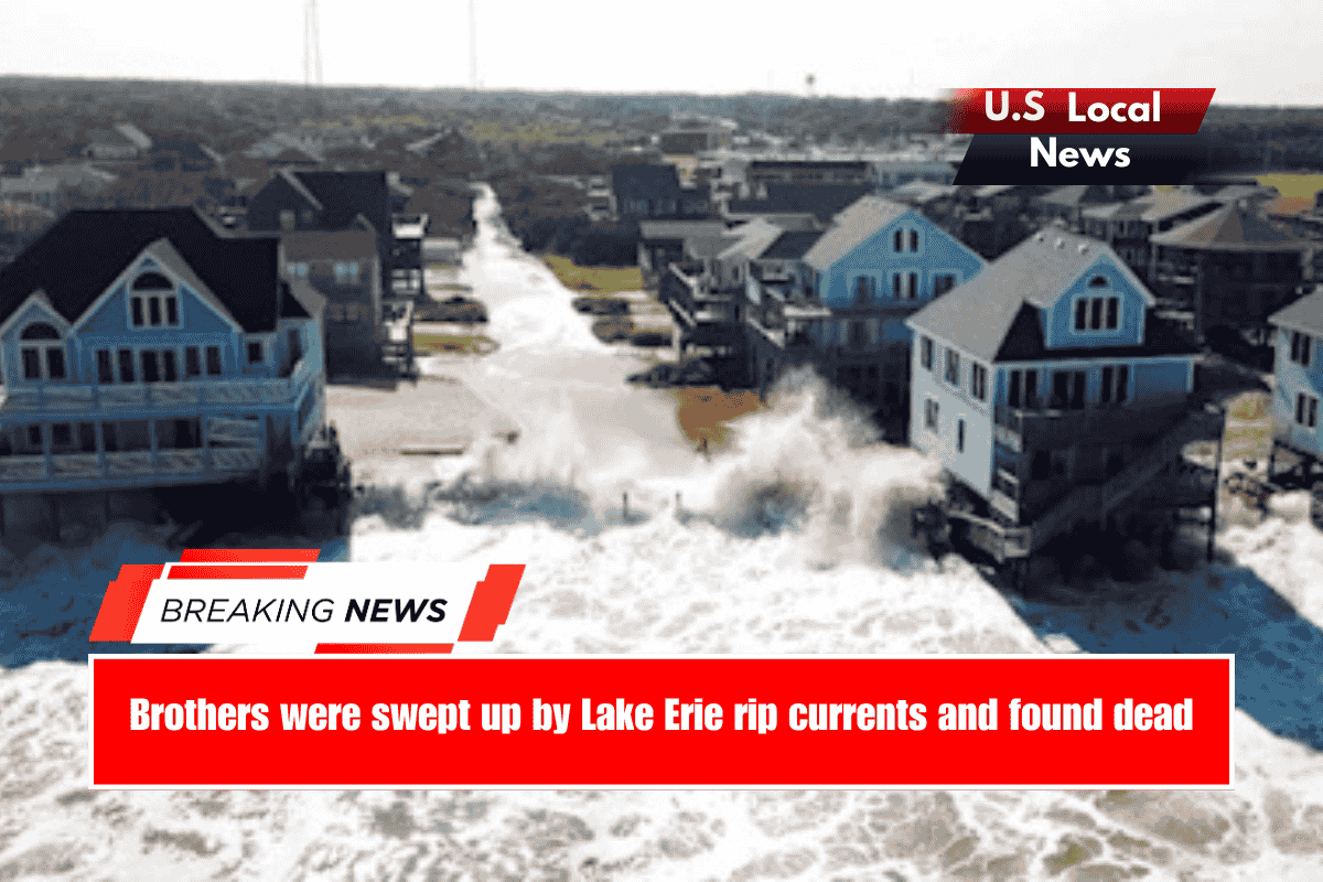 Brothers were swept up by Lake Erie rip currents and found dead