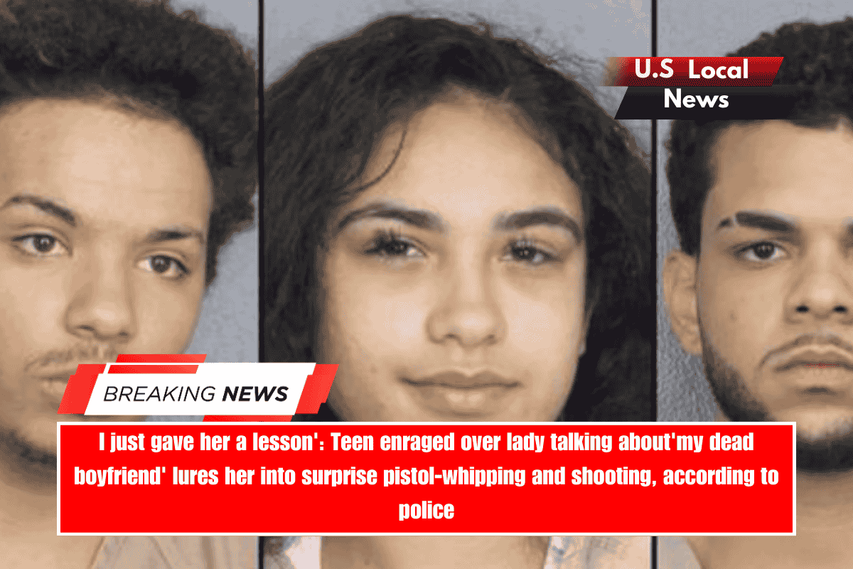 I just gave her a lesson' Teen enraged over lady talking about'my dead boyfriend' lures her into surprise pistol-whipping and shooting, according to police