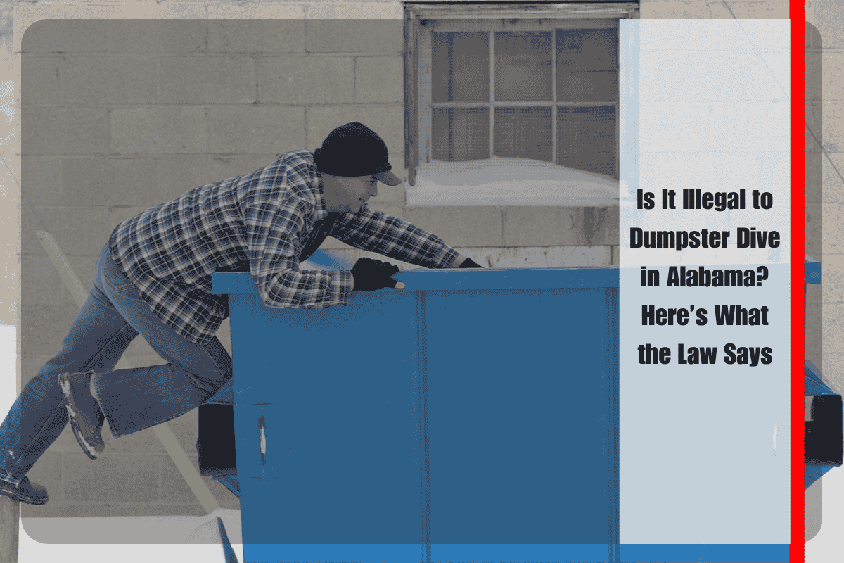 Is It Illegal to Dumpster Dive in Alabama Here’s What the Law Says