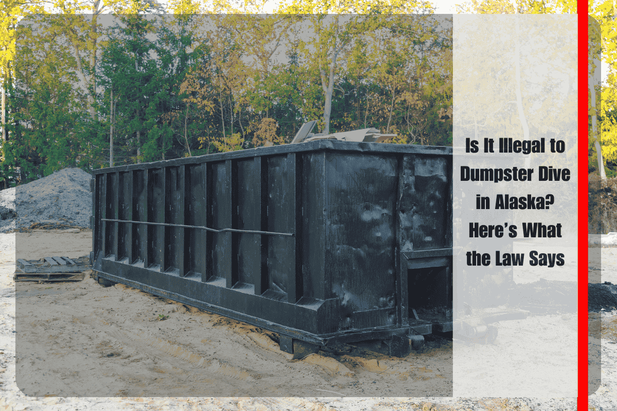 Is It Illegal to Dumpster Dive in Alaska Here’s What the Law Says