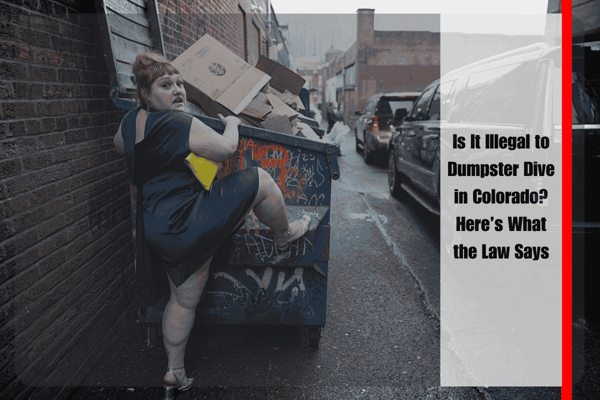 Is It Illegal to Dumpster Dive in Colorado Here’s What the Law Says