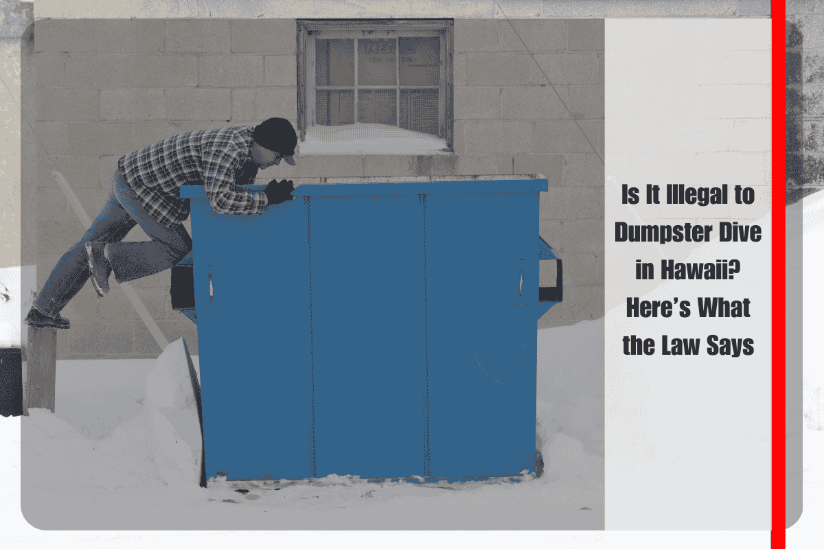 Is It Illegal to Dumpster Dive in Hawaii Here’s What the Law Says