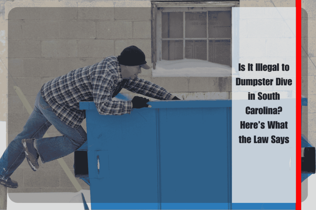 Is It Illegal to Dumpster Dive in South Carolina Here’s What the Law Says