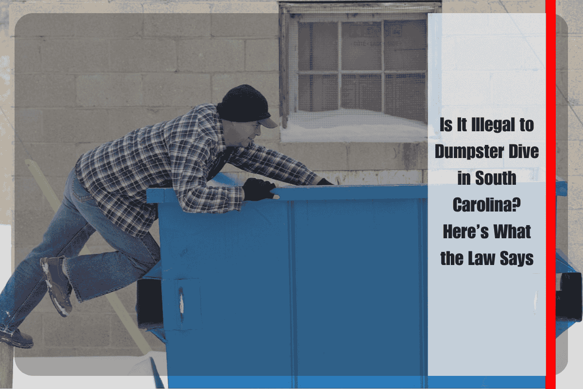 Is It Illegal to Dumpster Dive in South Carolina Here’s What the Law Says