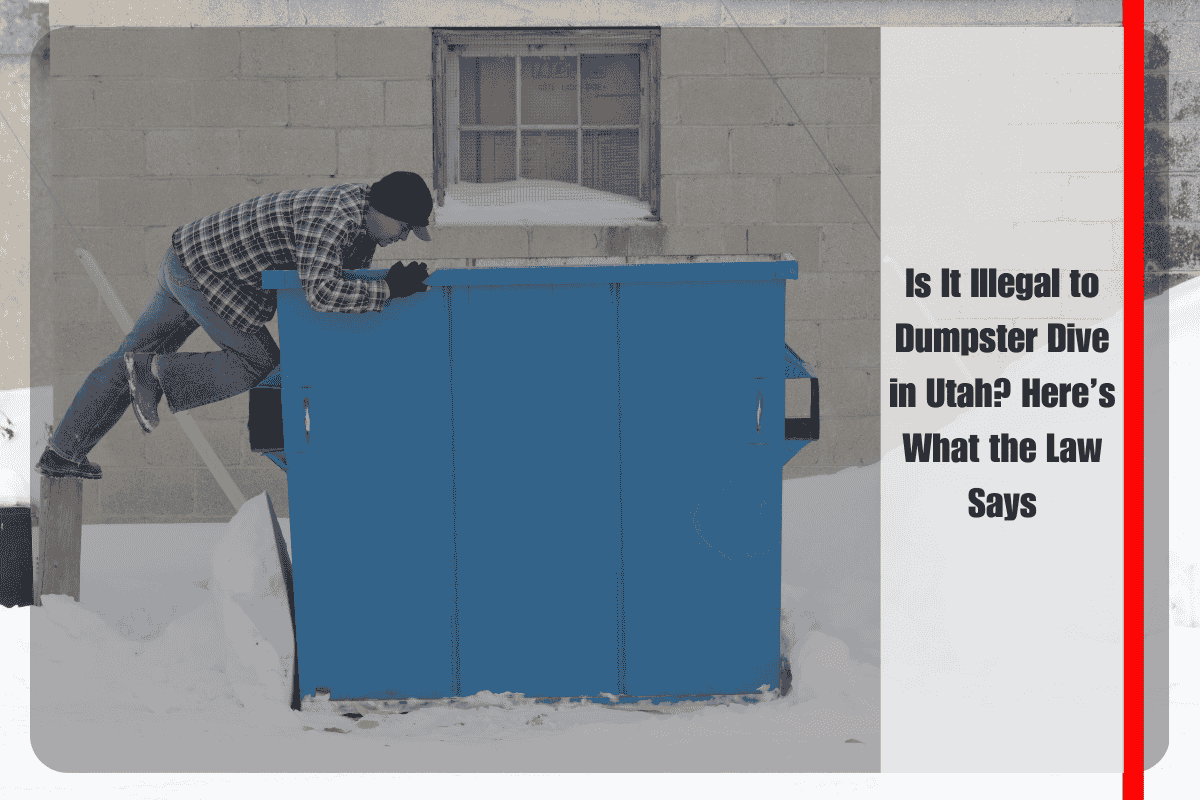Is It Illegal to Dumpster Dive in Utah Here’s What the Law Says