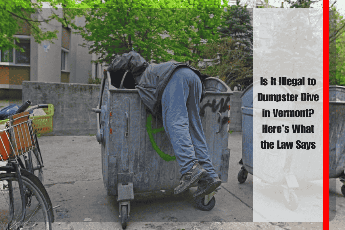 Is It Illegal to Dumpster Dive in Vermont Here’s What the Law Says