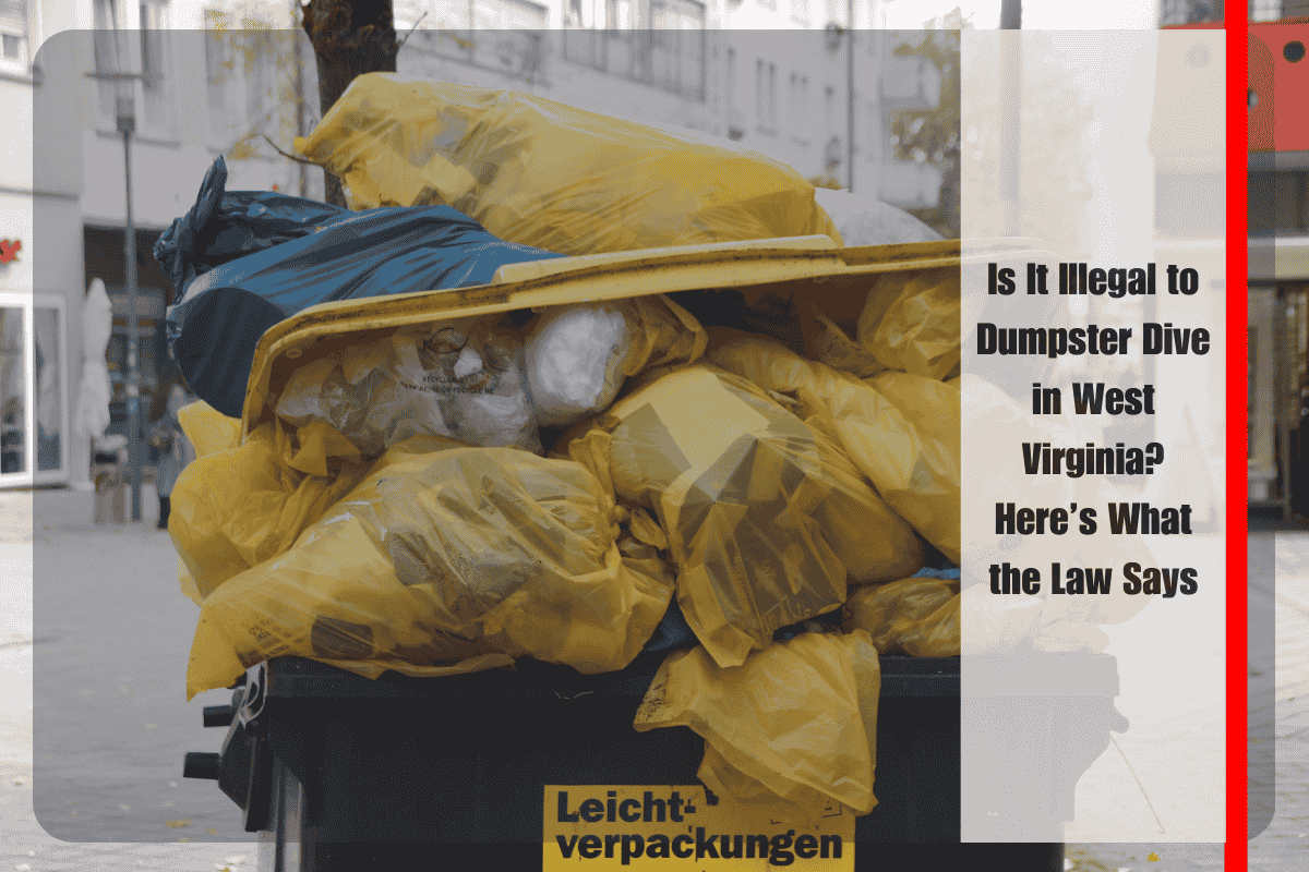 Is It Illegal to Dumpster Dive in West Virginia Here’s What the Law Says