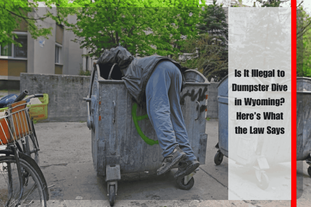 Is It Illegal to Dumpster Dive in Wyoming Here’s What the Law Says