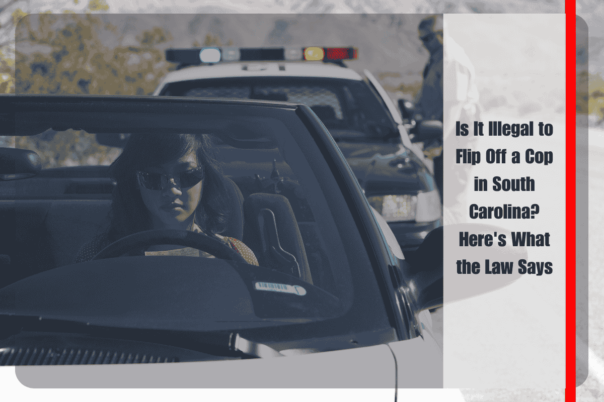 Is It Illegal to Flip Off a Cop in South Carolina Here's What the Law Says