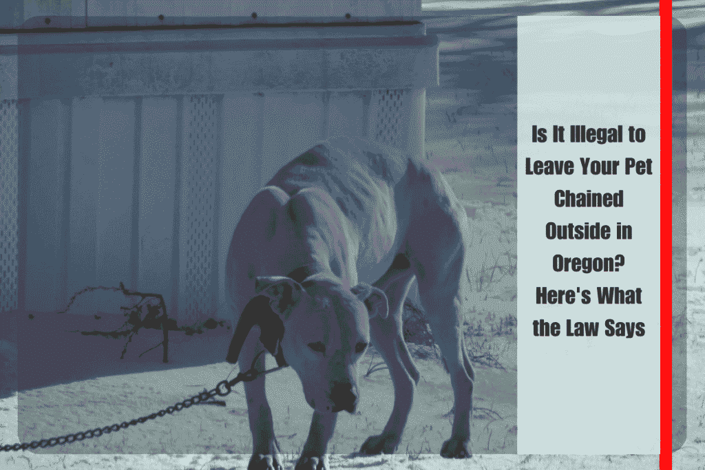 Is It Illegal to Leave Your Pet Chained Outside in Oregon Here's What the Law Says