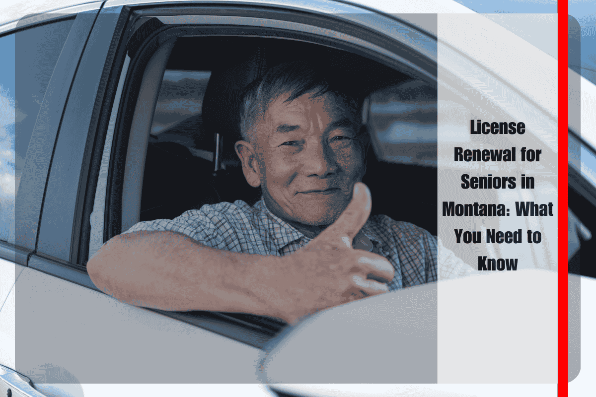 License Renewal for Seniors in Montana What You Need to Know