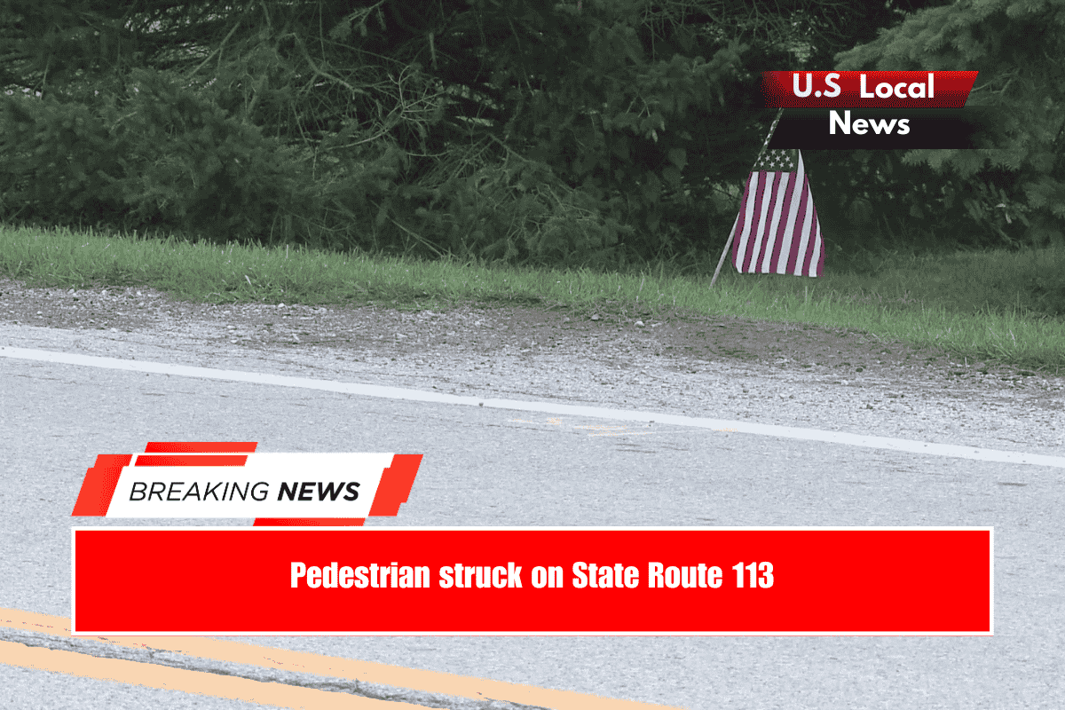 Pedestrian struck on State Route 113