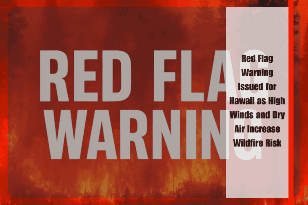 Red Flag Warning Issued for Hawaii as High Winds and Dry Air Increase Wildfire Risk