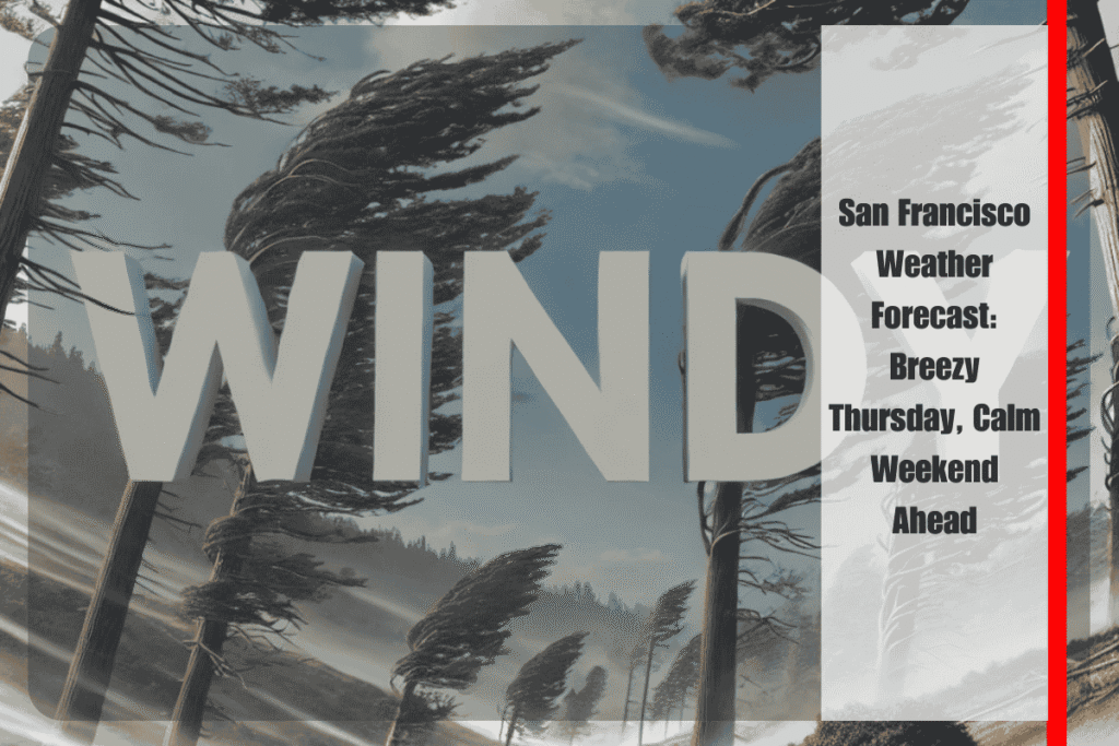 San Francisco Weather Forecast Breezy Thursday, Calm Weekend Ahead