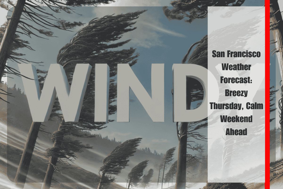 San Francisco Weather Forecast Breezy Thursday, Calm Weekend Ahead