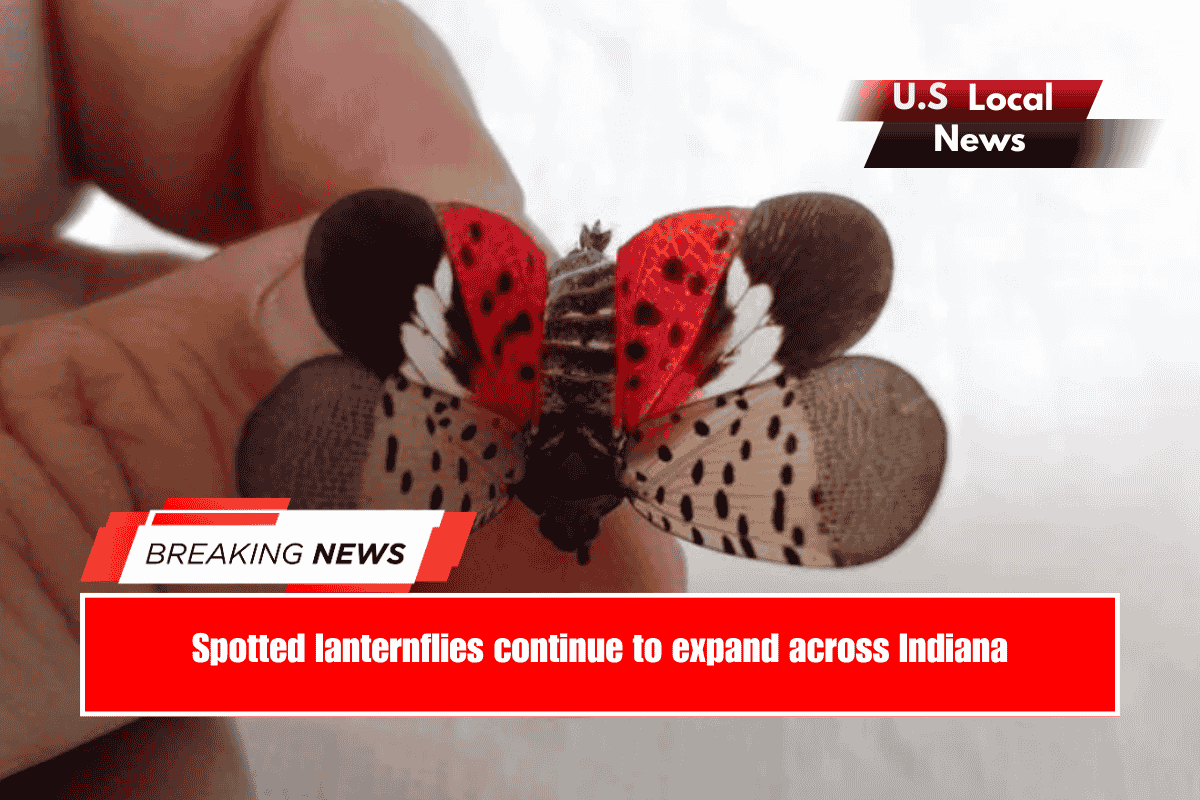 Spotted lanternflies continue to expand across Indiana