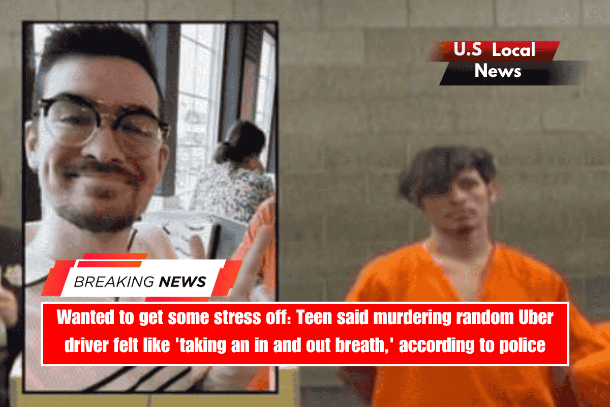 Wanted to get some stress off Teen said murdering random Uber driver felt like 'taking an in and out breath,' according to police