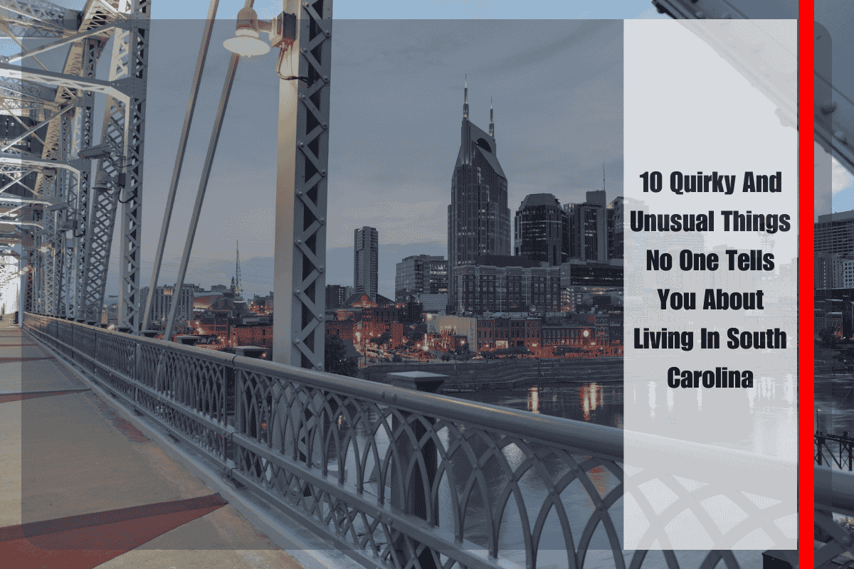 10 Quirky And Unusual Things No One Tells You About Living In South Carolina