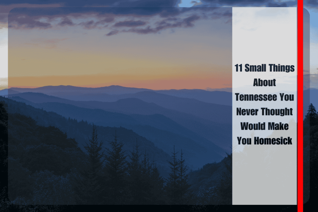 11 Small Things About Tennessee You Never Thought Would Make You Homesick