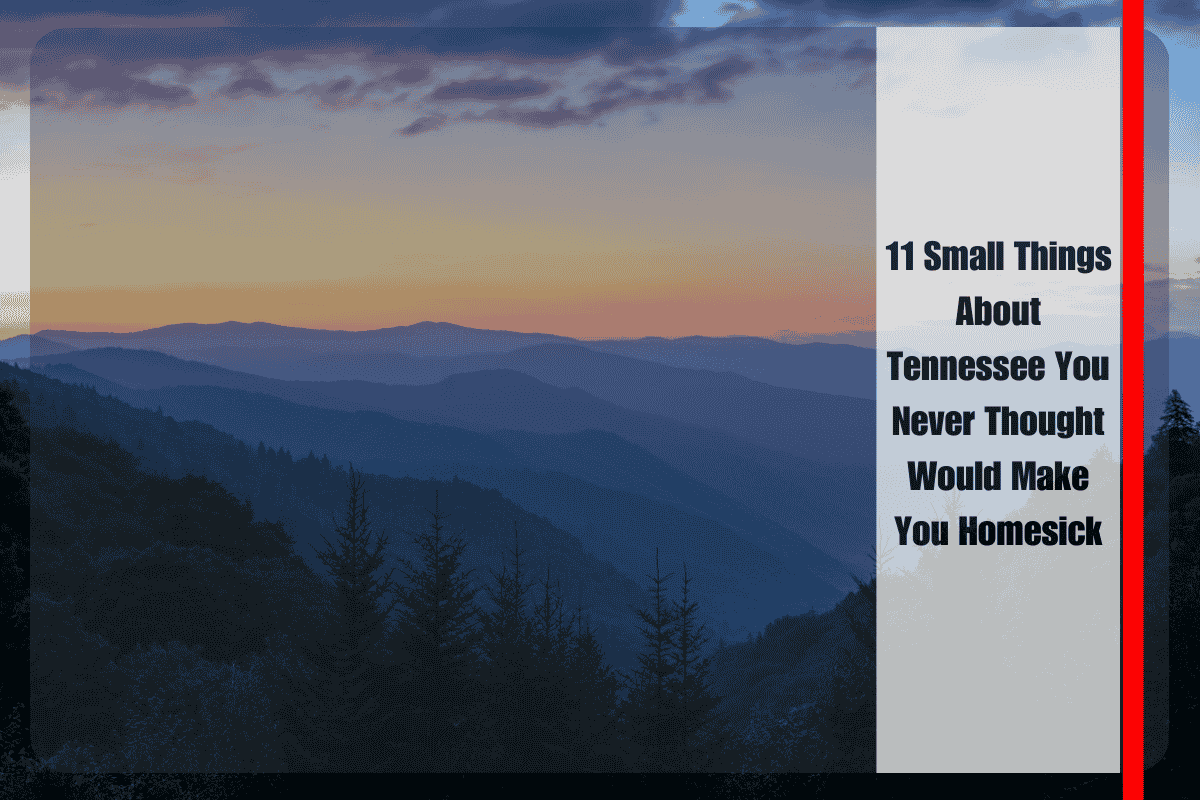 11 Small Things About Tennessee You Never Thought Would Make You Homesick