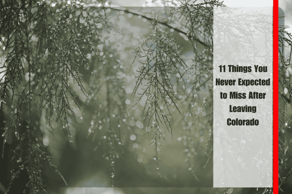 11 Things You Never Expected to Miss After Leaving Colorado