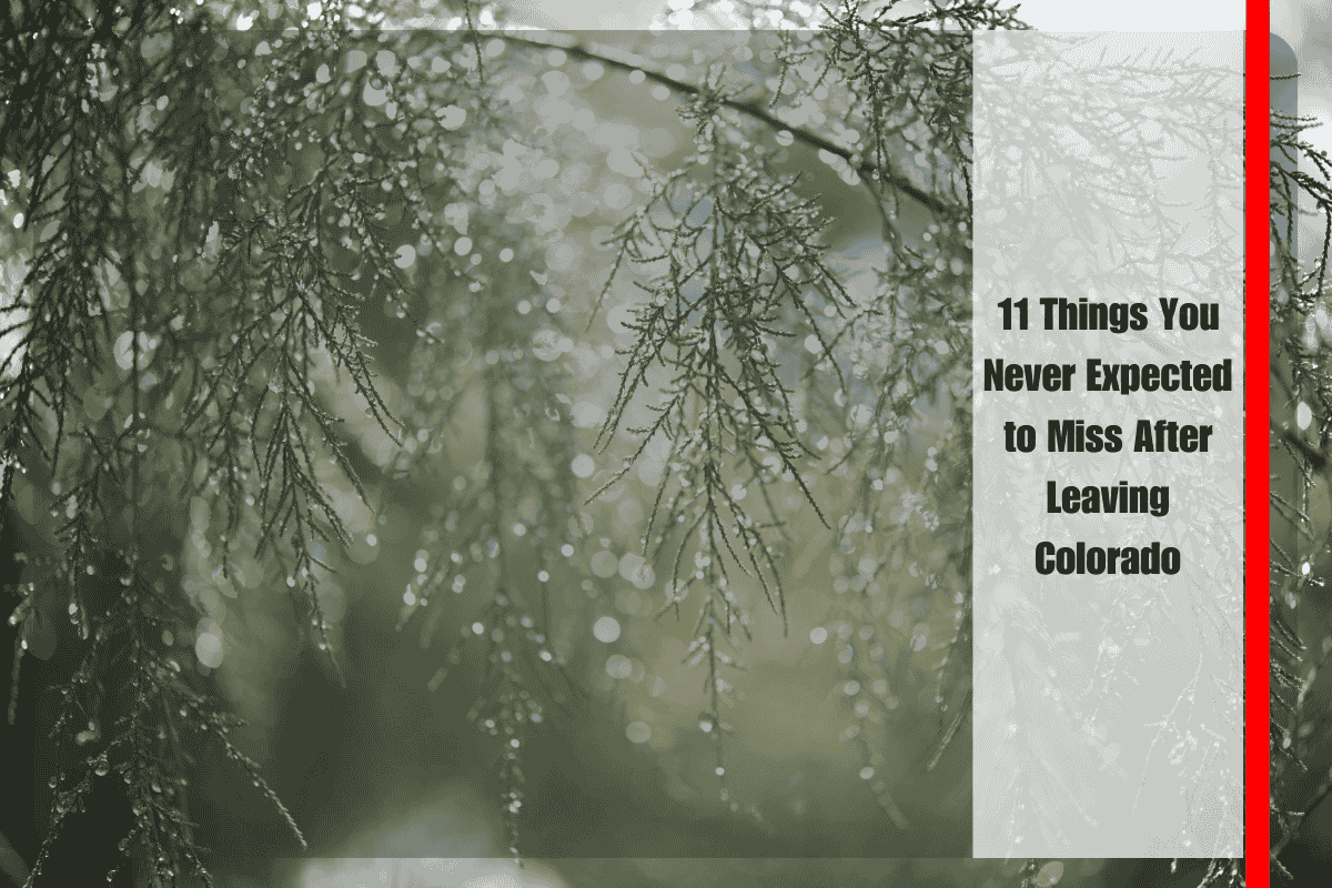 11 Things You Never Expected to Miss After Leaving Colorado