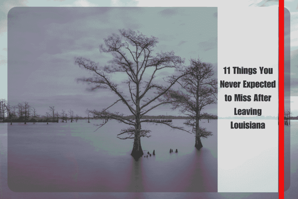 11 Things You Never Expected to Miss After Leaving Louisiana