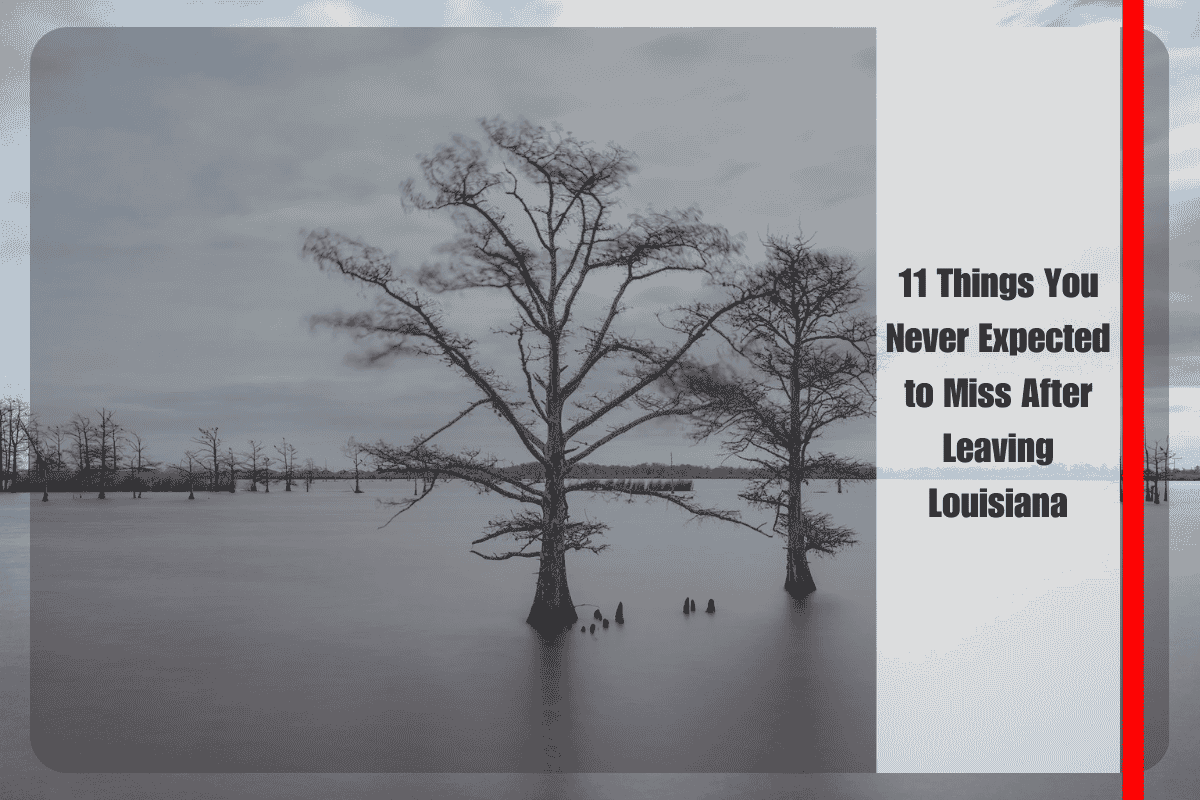11 Things You Never Expected to Miss After Leaving Louisiana
