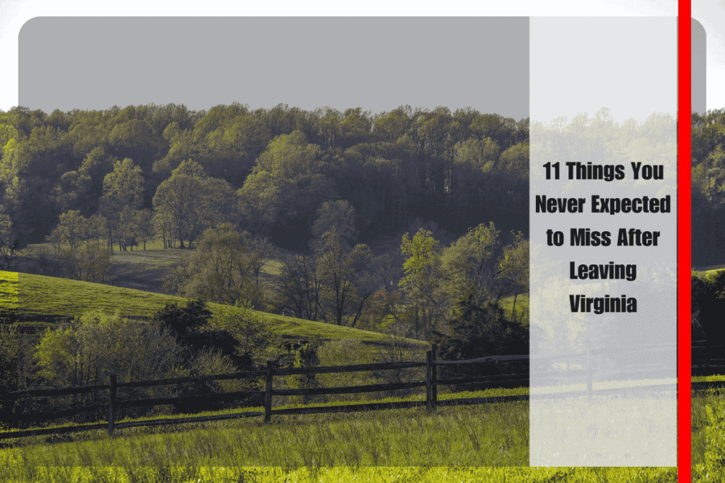 11 Things You Never Expected to Miss After Leaving Virginia