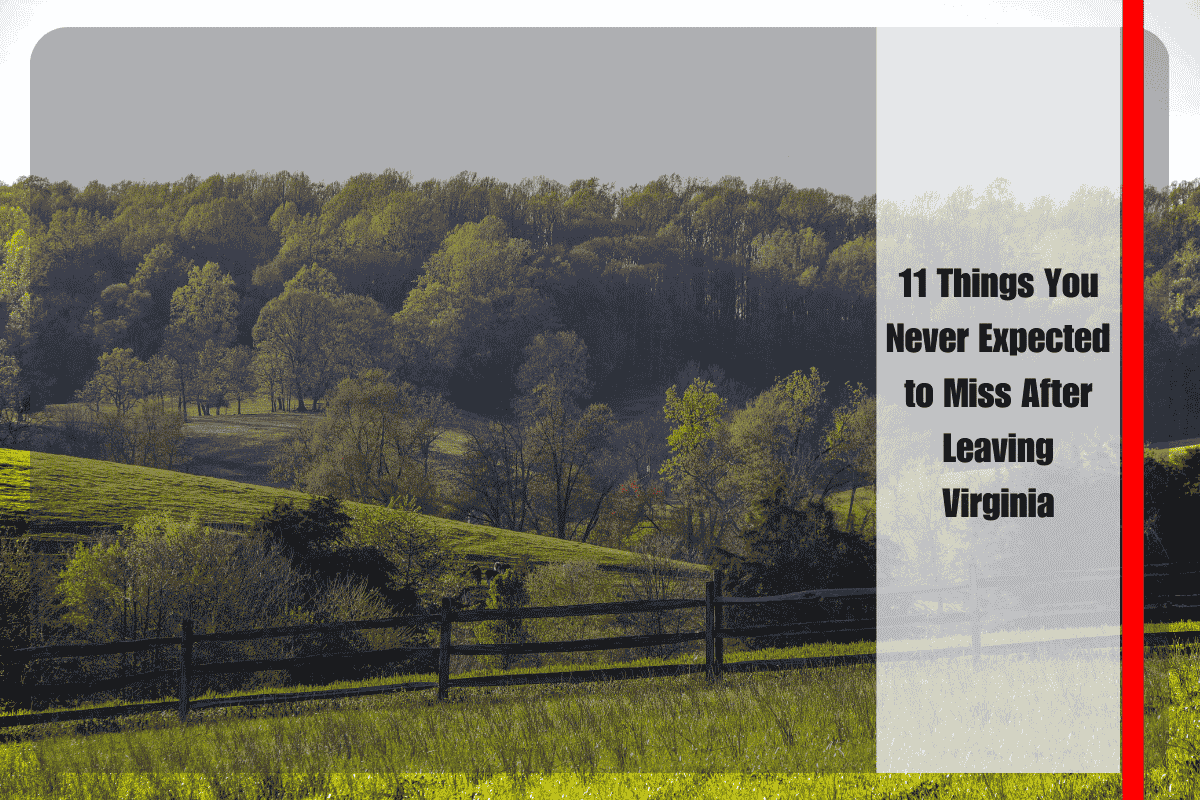 11 Things You Never Expected to Miss After Leaving Virginia