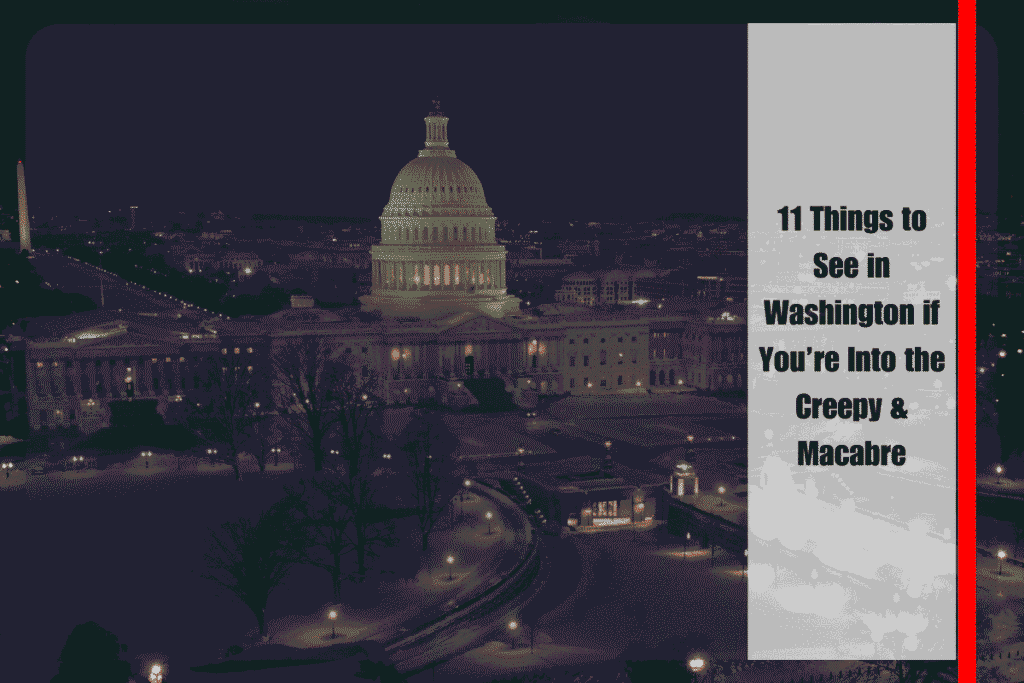 11 Things to See in Washington if You’re Into the Creepy & Macabre
