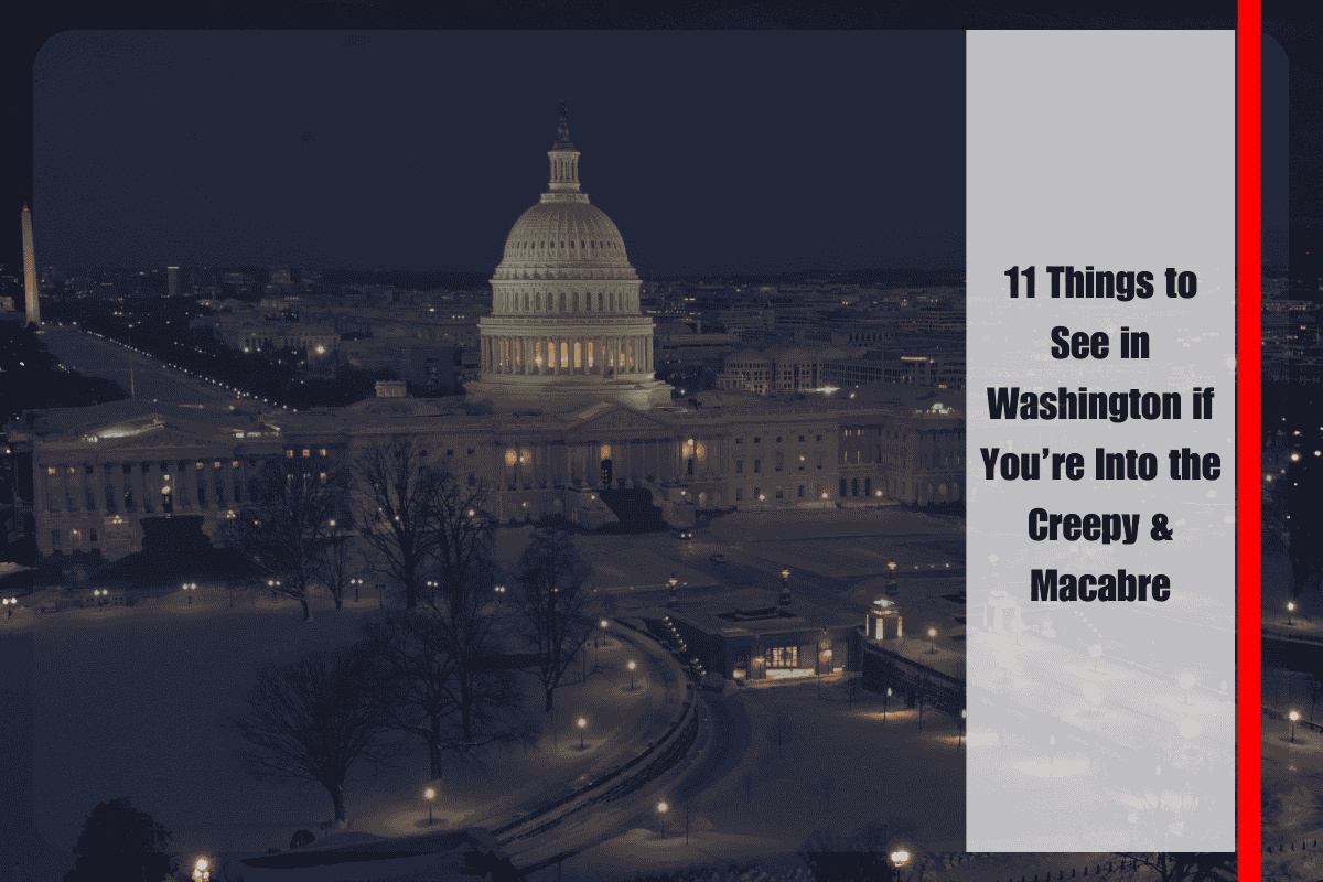 11 Things to See in Washington if You’re Into the Creepy & Macabre