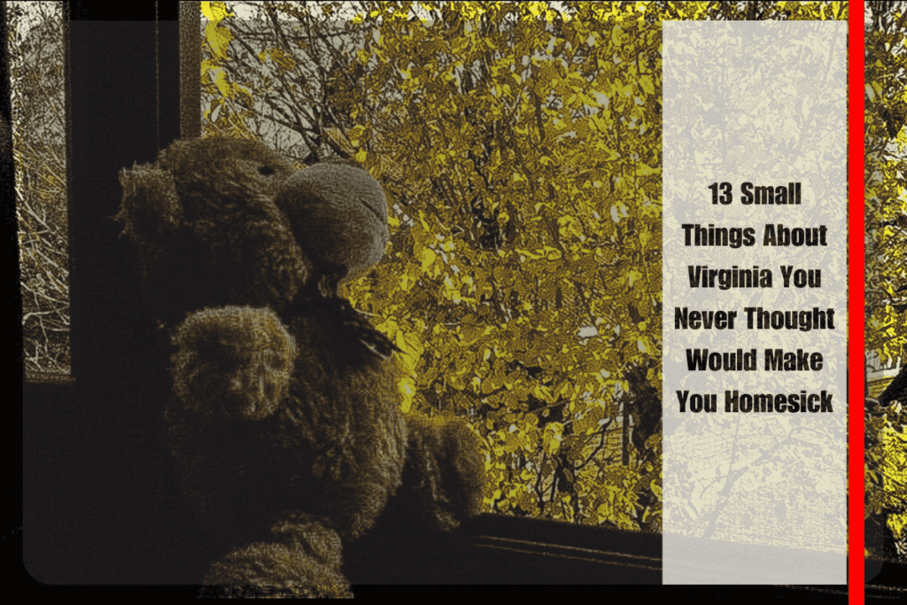 13 Small Things About Virginia You Never Thought Would Make You Homesick
