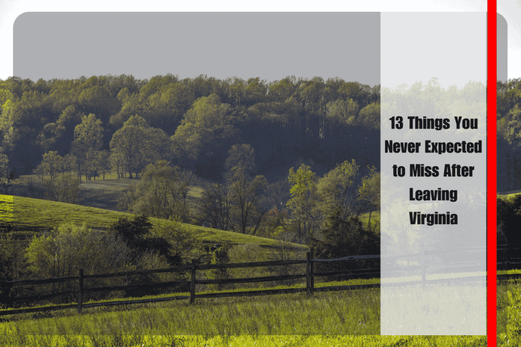 13 Things You Never Expected to Miss After Leaving Virginia