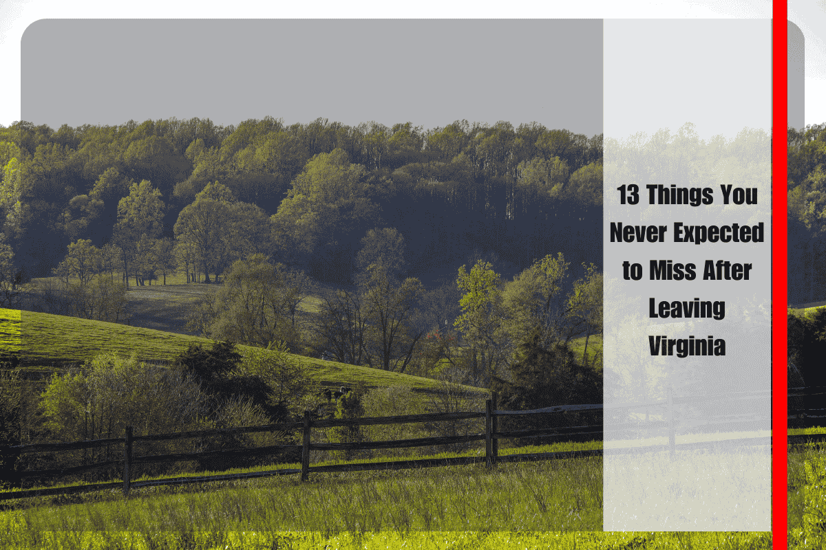 13 Things You Never Expected to Miss After Leaving Virginia