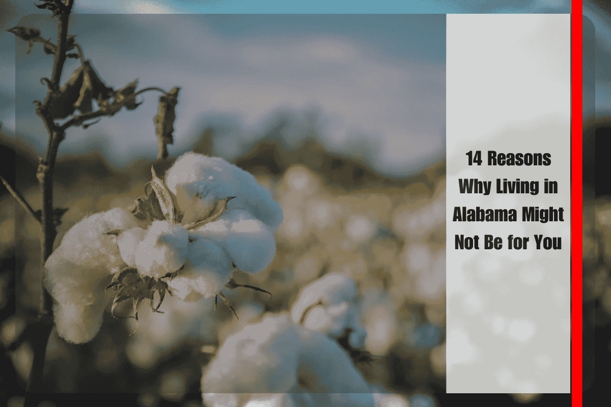 14 Reasons Why Living in Alabama Might Not Be for You