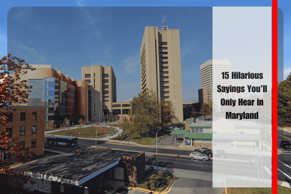 15 Hilarious Sayings You’ll Only Hear in Maryland