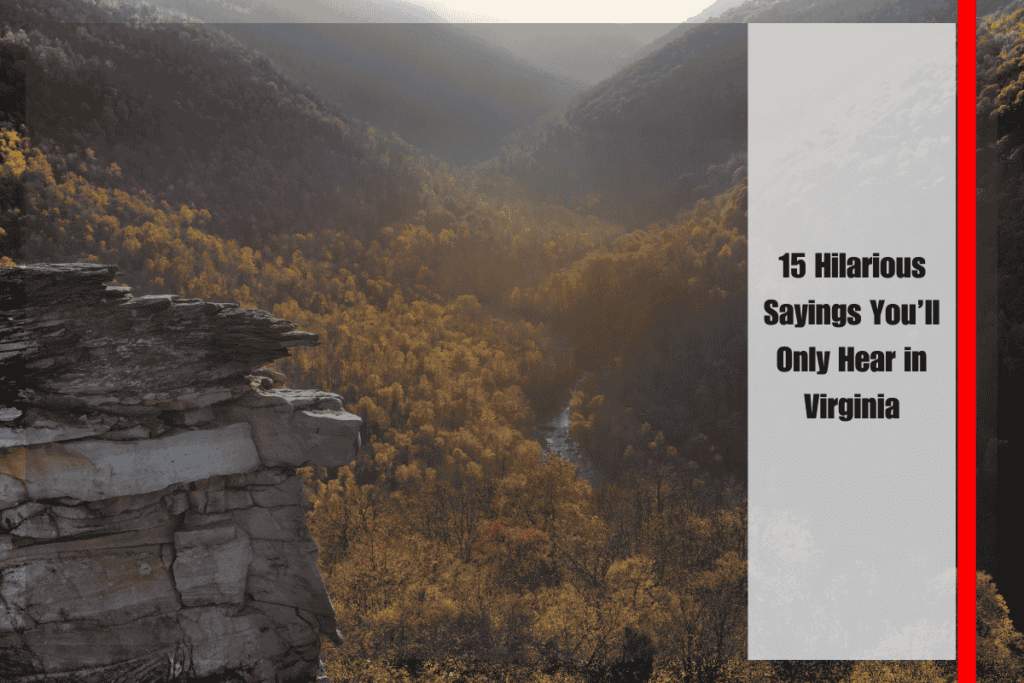 15 Hilarious Sayings You’ll Only Hear in Virginia