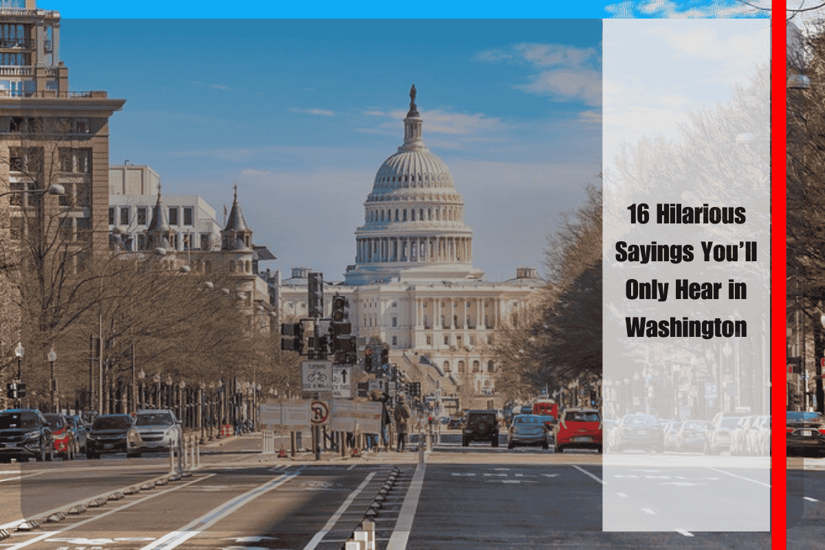 16 Hilarious Sayings You’ll Only Hear in Washington