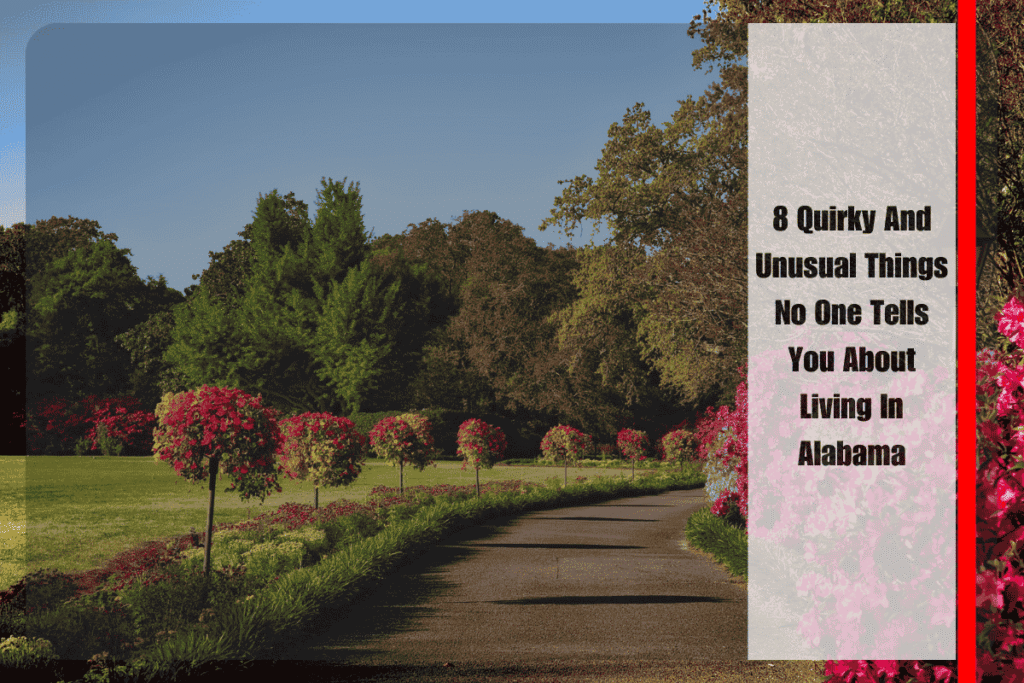 8 Quirky And Unusual Things No One Tells You About Living In Alabama
