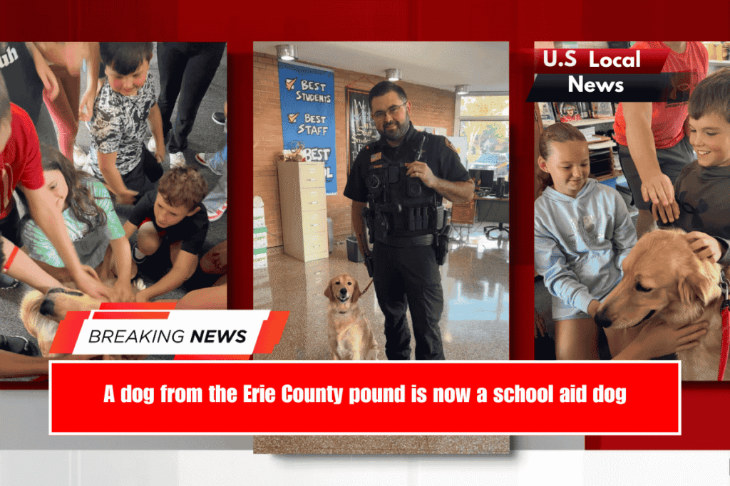 A dog from the Erie County pound is now a school aid dog