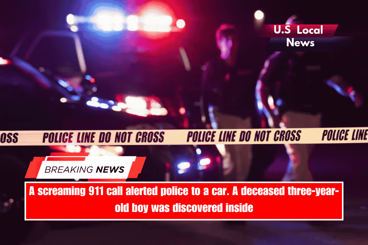 A screaming 911 call alerted police to a car. A deceased three-year-old boy was discovered inside