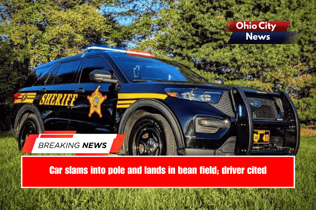 Car slams into pole and lands in bean field; driver cited