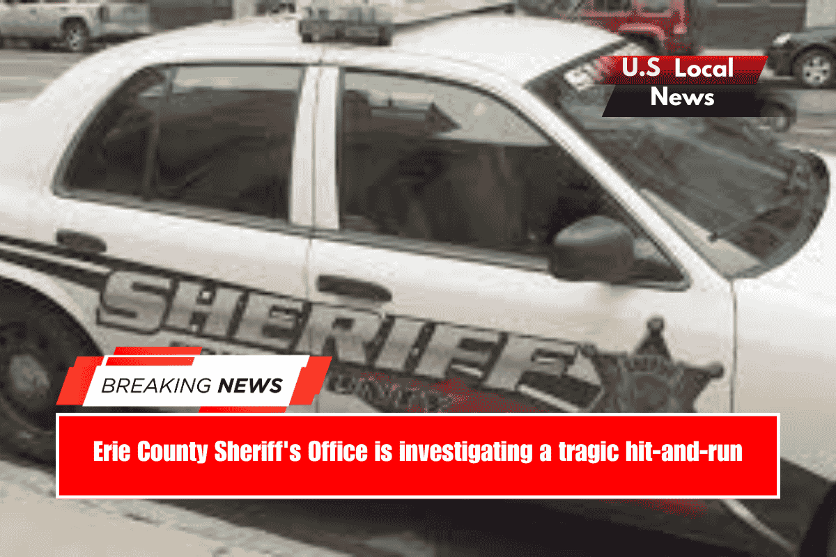 Erie County Sheriff's Office is investigating a tragic hit-and-run
