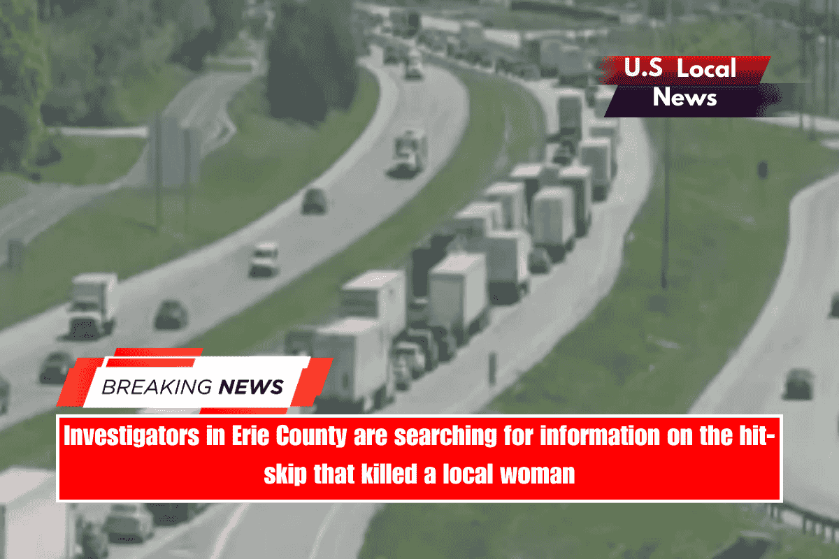 Investigators in Erie County are searching for information on the hit-skip that killed a local woman