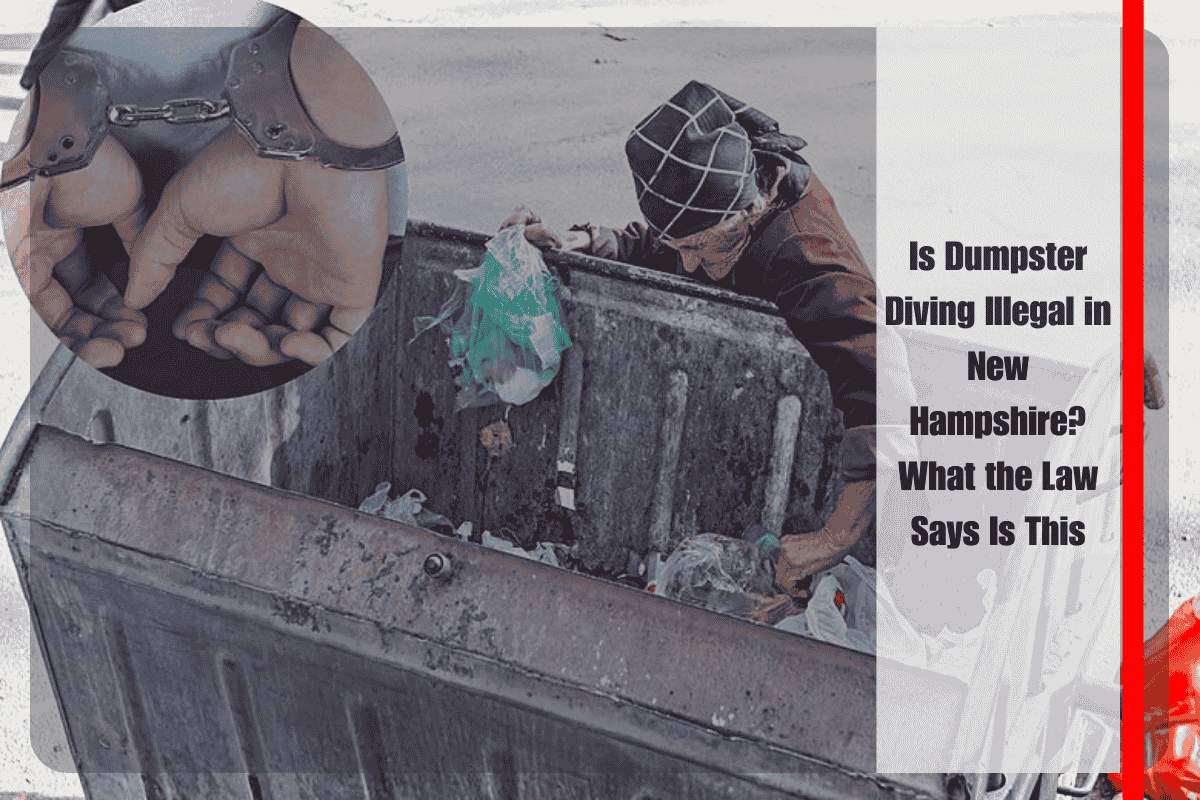 Is Dumpster Diving Illegal in New Hampshire What the Law Says Is This